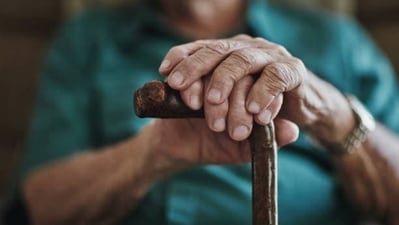 How nutrients, brain structure, cognition linked to healthy aging: Research (Representative image/ istock) How nutrients, brain structure, cognition linked to healthy aging: Research (Representative image/ istock)