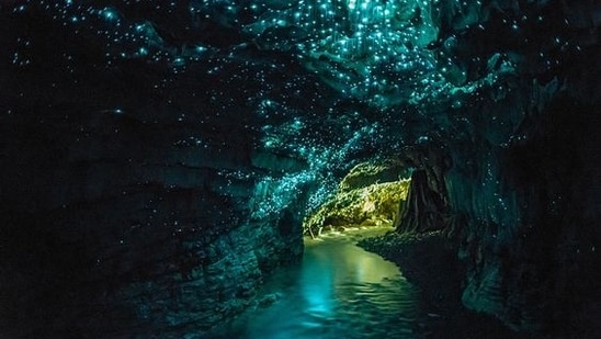 Waitomo Glowworm Caves, New Zealand: The walls of these caves are covered in bioluminescent glowworms, creating a breathtaking display of natural light.(Pinterest)