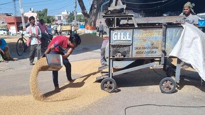 As the wheat harvesting nears end, the overall procurement in Haryana has reached 56.04 lakh metric tonnes (MT) against the target of 75 lakh MT fixed by the Food Corporation of India. (HT Photo) As the wheat harvesting nears end, the overall procurement in Haryana has reached 56.04 lakh metric tonnes (MT) against the target of 75 lakh MT fixed by the Food Corporation of India. (HT Photo)