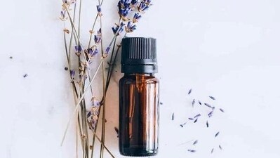 Essential oils: Certain essential oils, such as peppermint, lavender, and tea tree oil, can act as natural insect repellents. Add a few drops to a diffuser or spray bottle with water and use it to spray around doors, windows, and other entry points.&nbsp; (Pinterest)