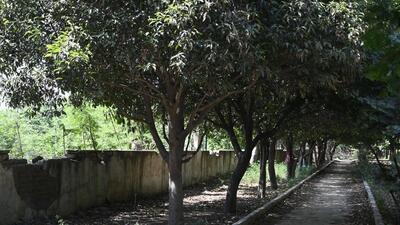 Gurugram, India-March 05, 2023: GMDA has registered a case against unknown people in Sector-29 police station for stealing iron grill from Leisure Valley Park, in Gurugram, India, on Sunday, 05 March 2023. (Photo by Parveen Kumar/Hindustan Times)(Pic to go with Debashish Karmakar's story) Gurugram, India-March 05, 2023: GMDA has registered a case against unknown people in Sector-29 police station for stealing iron grill from Leisure Valley Park, in Gurugram, India, on Sunday, 05 March 2023. (Photo by Parveen Kumar/Hindustan Times)(Pic to go with Debashish Karmakar's story)
