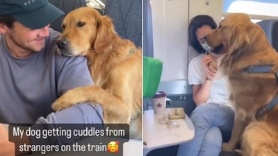 The images show a dog hugging strangers while on a train. (Instagram/@hugoandursula) The images show a dog hugging strangers while on a train. (Instagram/@hugoandursula)