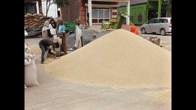 Pungrain has made payments amounting to  ₹332.76 crore to the farmers who sold their wheat grains to it till Thursday. (HT Photo)