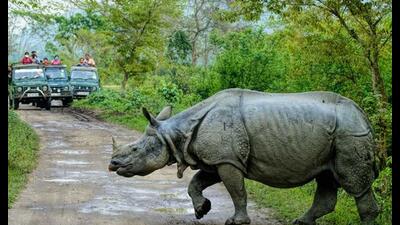 The park is home to two-thirds of the world’s Indian rhinos (Sourced) The park is home to two-thirds of the world’s Indian rhinos (Sourced)