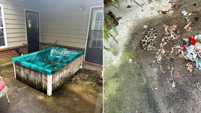 The images show the old tub and the snake hiding under it. (Facebook/Pop & Son's Junk Removal)