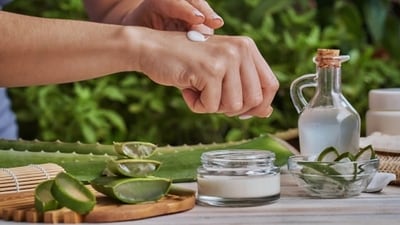 Aloe Vera as a toner: Aloe Vera can also be used as a toner to help balance your skin's pH levels. Mix equal parts of Aloe Vera gel and water and apply the mixture to your face with a cotton pad. (Pexels) Aloe Vera as a toner: Aloe Vera can also be used as a toner to help balance your skin's pH levels. Mix equal parts of Aloe Vera gel and water and apply the mixture to your face with a cotton pad. (Pexels)