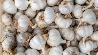 Garlic: Crush a few garlic cloves and mix with water to create a natural bug spray. The strong odour of garlic is known to repel insects.&nbsp; (Unsplash)