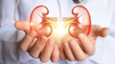 Dehydration can lead to acute kidney injury while drinking sugary drinks can also take a toll on kidney health. (Shutterstock) Dehydration can lead to acute kidney injury while drinking sugary drinks can also take a toll on kidney health. (Shutterstock)