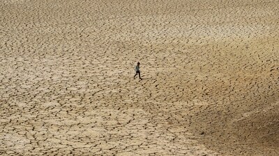 The WWA study concentrated on the three areas worst hit by the drought: southern Ethiopia, Somalia and eastern Kenya. (Representational)