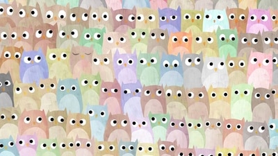 Viral Brain Teaser: Can you spot a cat in this picture? (Facebook/@thedudolf) Viral Brain Teaser: Can you spot a cat in this picture? (Facebook/@thedudolf)