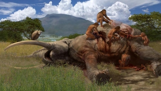 Mammals constitute a very small fraction of animal species (estimates for the latter vary) but there are still nearly 6,000 kinds of mammals. (Representative) (Karen Carr/Smithsonian )