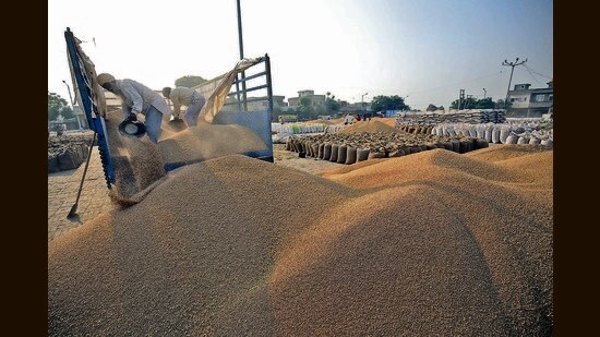Labourers unloading wheat grains from a trolley at a grain market in Amritsar on Wednesday. (ANI Photo)