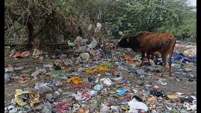 A view of Nehru Enclave in Gomti Nagar. (Sourced) A view of Nehru Enclave in Gomti Nagar. (Sourced)