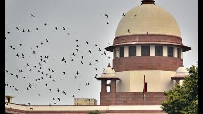 Nobody can predict which way the courts will rule. But to listen to the proceedings, is to hear the story of a nation where people fall in love and dream of building lives and setting up their own families. It is to hear of what senior advocate Saurabh Kirpal calls “lavender marriages”, where gay men are married off to women under family pressure. (Biplov Bhuyan/HT PHOTO) Nobody can predict which way the courts will rule. But to listen to the proceedings, is to hear the story of a nation where people fall in love and dream of building lives and setting up their own families. It is to hear of what senior advocate Saurabh Kirpal calls “lavender marriages”, where gay men are married off to women under family pressure. (Biplov Bhuyan/HT PHOTO)