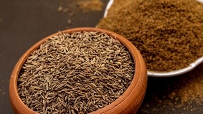 Then a long spell of untimely rains spoilt the crop, resulting in deficient output. This sent cumin prices to a record high at ₹560 a kilo at the retail level mid-April. (Unsplash) Then a long spell of untimely rains spoilt the crop, resulting in deficient output. This sent cumin prices to a record high at ₹560 a kilo at the retail level mid-April. (Unsplash)