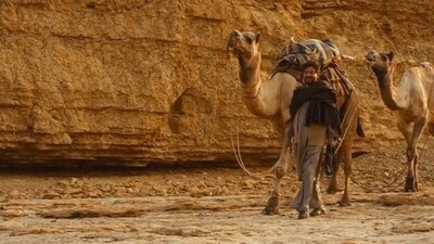 The Song of Scorpions is Irrfan's swan song after his death in 2020. The film is a tragic love story in which Irrfan plays the role of a camel trader.&nbsp; 