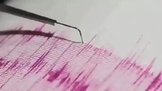 The earthquake struck at a depth of 136 kilometres. (Representative)