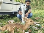 Man helping deer breathe.  