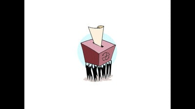 The polls in Pune APMC were held on Friday after 20 years (REPRESENTATIVE IMAGE) The polls in Pune APMC were held on Friday after 20 years (REPRESENTATIVE IMAGE)