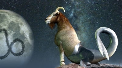 Leo Weekly Horoscope, April 30- May 6, 2023: This week presents an opportunity for Capricorn to take a look within and realign the priorities in life.