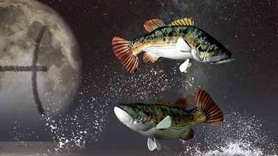 Gemini Weekly Horoscope Today for April 30-May 6: This week will be the start of a period of clarity for you, Pisces. Gemini Weekly Horoscope Today for April 30-May 6: This week will be the start of a period of clarity for you, Pisces.