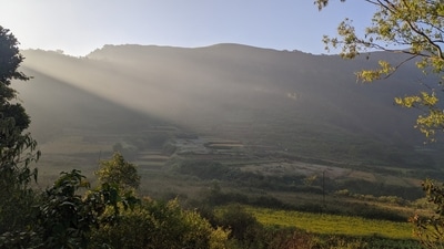 Araku Valley: The Araku Valley is a hill station located in the Visakhapatnam district. It is famous for its scenic beauty and coffee plantations. The valley offers a perfect escape from the hustle and bustle of city life. You can go for trekking, explore the nearby waterfalls, and enjoy the nature's beauty.&nbsp; (Unsplash)