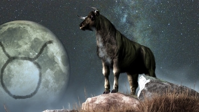 Taurus Weekly Horoscope Today for April 30-May 6, 2023 ;This week will bring many opportunities for Taureans to take advantage of. (shutterstock)