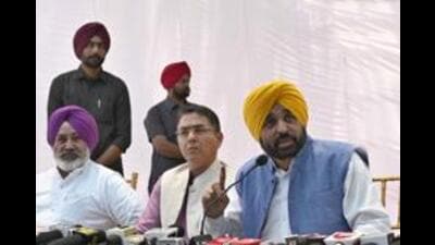 AAP spokesperson Malwinder Kang said that the Mann-led government’s decision to honour toppers of the Punjab School Examination Board is commendable. (HT File Photo)