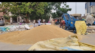 In 2022, private players registered 6.35 lakh tonnes from the state. (HT Photo) In 2022, private players registered 6.35 lakh tonnes from the state. (HT Photo)