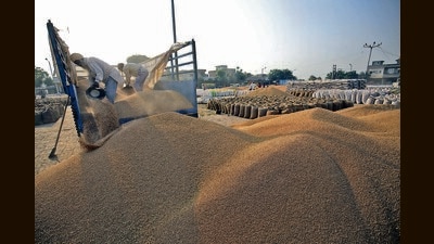 Last year, a prolonged heatwave in March crimped wheat output by 2.5% to 107 million tonnes, stoking shortages and food inflation, and increasing the country’s vulnerability amid a global cereal crisis due to the Ukraine conflict. (Raminder Pal Singh) Last year, a prolonged heatwave in March crimped wheat output by 2.5% to 107 million tonnes, stoking shortages and food inflation, and increasing the country’s vulnerability amid a global cereal crisis due to the Ukraine conflict. (Raminder Pal Singh)