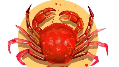 Cancer Daily Horoscope Today May 2nd, 2023. As per today’s horoscope prediction, your love life will be mostly calm and peaceful.