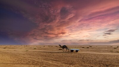 Kutch: The Kutch region in Gujarat is known for its unique culture, vibrant handicrafts, and beautiful landscapes. The region's desert landscapes, salt flats, and traditional villages make for a unique and offbeat wedding destination.&nbsp; (File Photo)