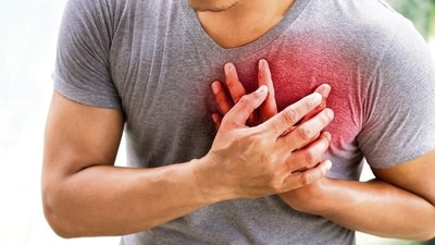 The new ultrasound patch developed at UC San Diego can continuously monitor blood flow as well as blood pressure and heart function in real time. (Shutterstock) The new ultrasound patch developed at UC San Diego can continuously monitor blood flow as well as blood pressure and heart function in real time. (Shutterstock)