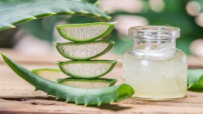 Aloe Vera: Aloe vera gel can be applied to the affected area to reduce inflammation and soothe the skin.&nbsp; (Pexels)