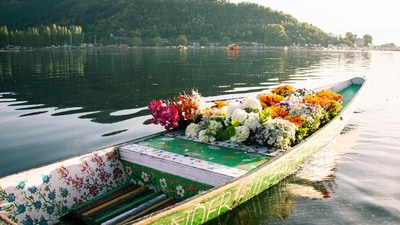 Kashmir is scaling new heights in tourist count. (Pexels) Kashmir is scaling new heights in tourist count. (Pexels)