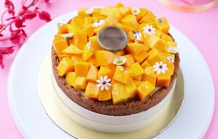 Mango cheesecake (Conrad Pune) Mango cheesecake (Conrad Pune)