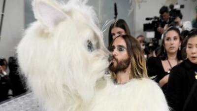 Jared Leto won the red carpet at Met Gala 2023 this year as he came dressed as the infamous cat of the iconic fashion designer Karl Lagerfeld - Choupette. Here's how he turned up for the red carpet moment as the cat. (AP) Jared Leto won the red carpet at Met Gala 2023 this year as he came dressed as the infamous cat of the iconic fashion designer Karl Lagerfeld - Choupette. Here's how he turned up for the red carpet moment as the cat. (AP)
