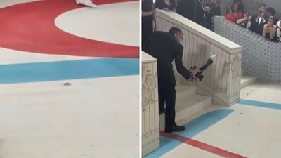 A cockroach debuted at the 2023 Met Gala red carpet. A cockroach debuted at the 2023 Met Gala red carpet.