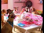 Snapshot of dog birthday. Snapshot of dog birthday.