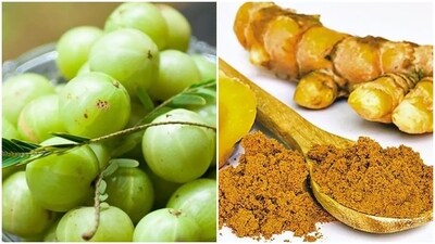 Amla to apple cider vinegar, here are ingredients that can enhance the healing process of damaged liver (File Photo) Amla to apple cider vinegar, here are ingredients that can enhance the healing process of damaged liver (File Photo)