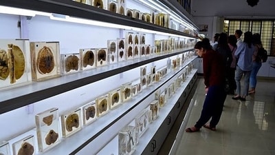NIMHANS Brain Museum, Bengaluru: This unique museum located in Bengaluru, India is dedicated to the study of the brain and its functions. (Instagram/@slvglobal) NIMHANS Brain Museum, Bengaluru: This unique museum located in Bengaluru, India is dedicated to the study of the brain and its functions. (Instagram/@slvglobal)