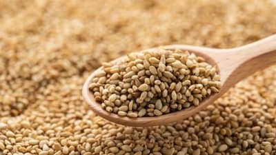 Sesame seeds are majorly used in garnishing food items, or as dips. However, the benefits of sesame seeds are manifold. Nutritionist Anjali Mukerjee addressed it and wrote, “There is a common saying good things come in small packages; this holds good for til seeds (sesame seeds). They are a storehouse of nutrients and provide wholesome health benefits.” (Unsplash) Sesame seeds are majorly used in garnishing food items, or as dips. However, the benefits of sesame seeds are manifold. Nutritionist Anjali Mukerjee addressed it and wrote, “There is a common saying good things come in small packages; this holds good for til seeds (sesame seeds). They are a storehouse of nutrients and provide wholesome health benefits.” (Unsplash)