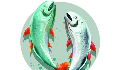 Pisces Horoscope Today May 4. 2023: Maintain a balanced office and personal life today.