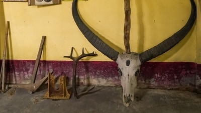 Black Magic and Witchcraft Museum, Mayong: This museum is located in the small village of Mayong in the Indian state of Assam. Mayong is known for its history of black magic and witchcraft, and the museum is dedicated to preserving this unique cultural heritage. (Instagram/@cultre.in) Black Magic and Witchcraft Museum, Mayong: This museum is located in the small village of Mayong in the Indian state of Assam. Mayong is known for its history of black magic and witchcraft, and the museum is dedicated to preserving this unique cultural heritage. (Instagram/@cultre.in)