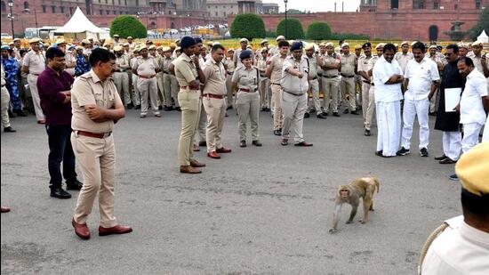 A monkey crosses the road near Parliament in New Delhi. (ANI)