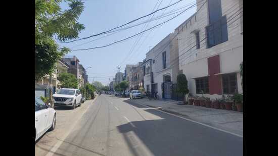 The area on roadsides covered by interlocking tiles is almost 75% as compared to 5% fixed by the NGT. (HT Photo)