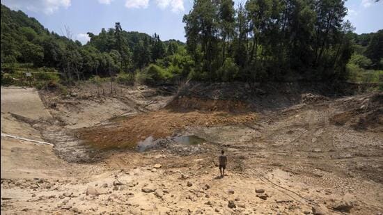 WMO said the likelihood of El Niño developing this monsoon season (June to September) is increasing. (Representational photo)