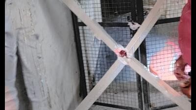 Noida authority officials seal the flat of a realtor. (HT Photo) Noida authority officials seal the flat of a realtor. (HT Photo)