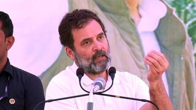 Congress leader Rahul Gandhi (HT file)