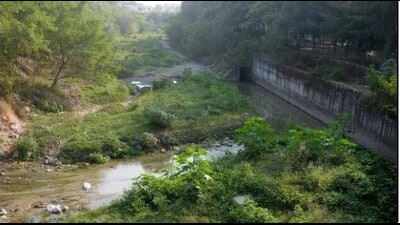 The work on the green corridor running for a length of 8 km between Sector 42 to Sector 53 via Butrela-Badheri villages will begin under Phase 1. (HT File Photo) The work on the green corridor running for a length of 8 km between Sector 42 to Sector 53 via Butrela-Badheri villages will begin under Phase 1. (HT File Photo)